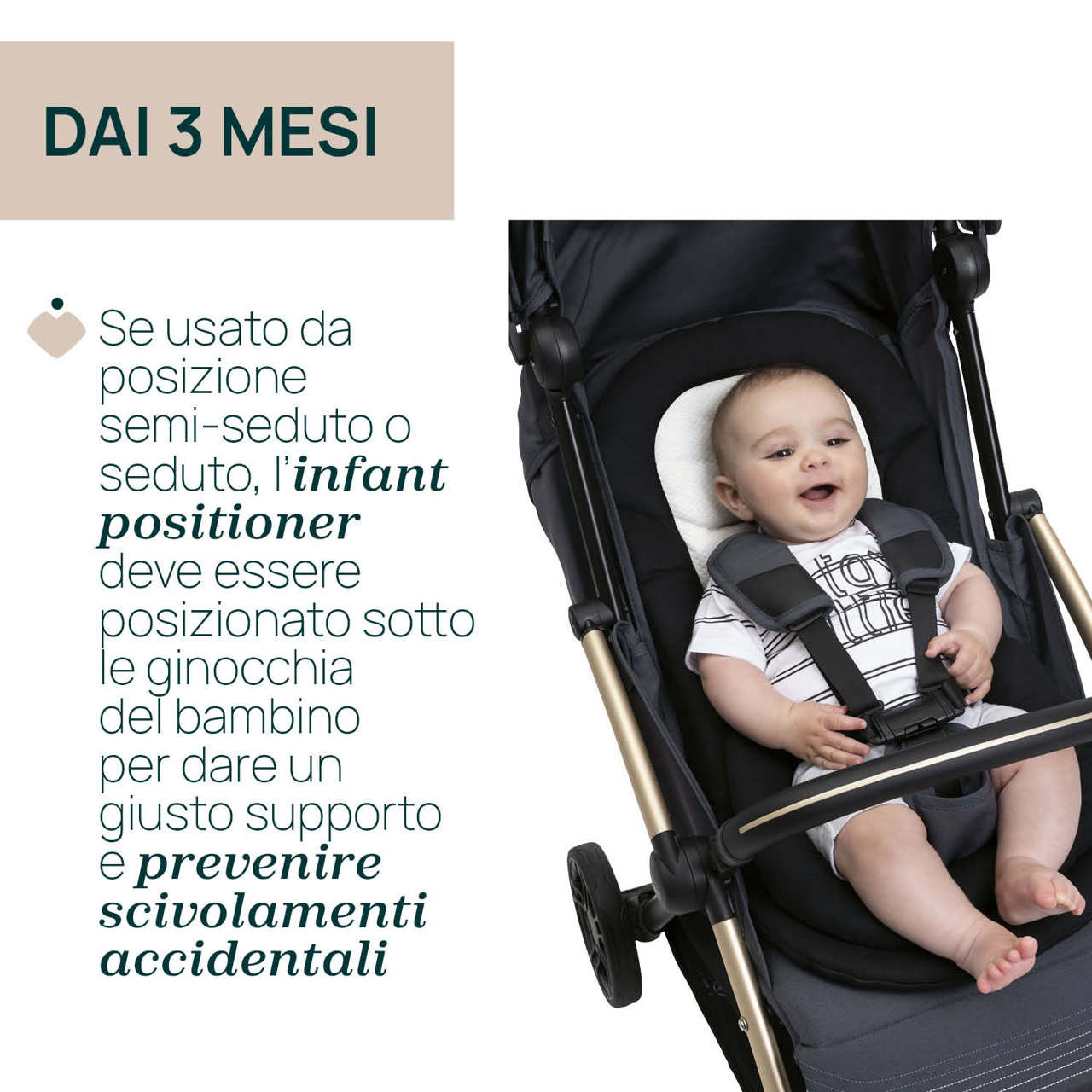 Riduttore Cushy Hug per Passeggino
