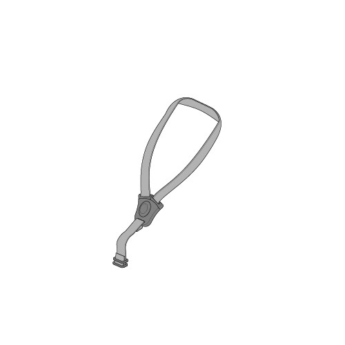 Cinturones de seguridad para coches Inglesina Cab y Darwin