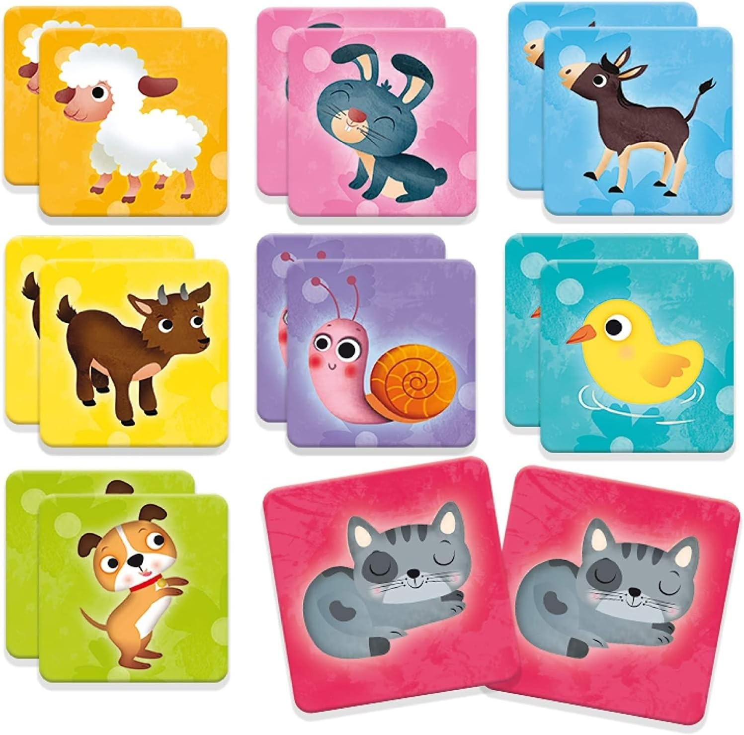 Carotina 4 in 1 Giocattolo 4 in 1 Gioco