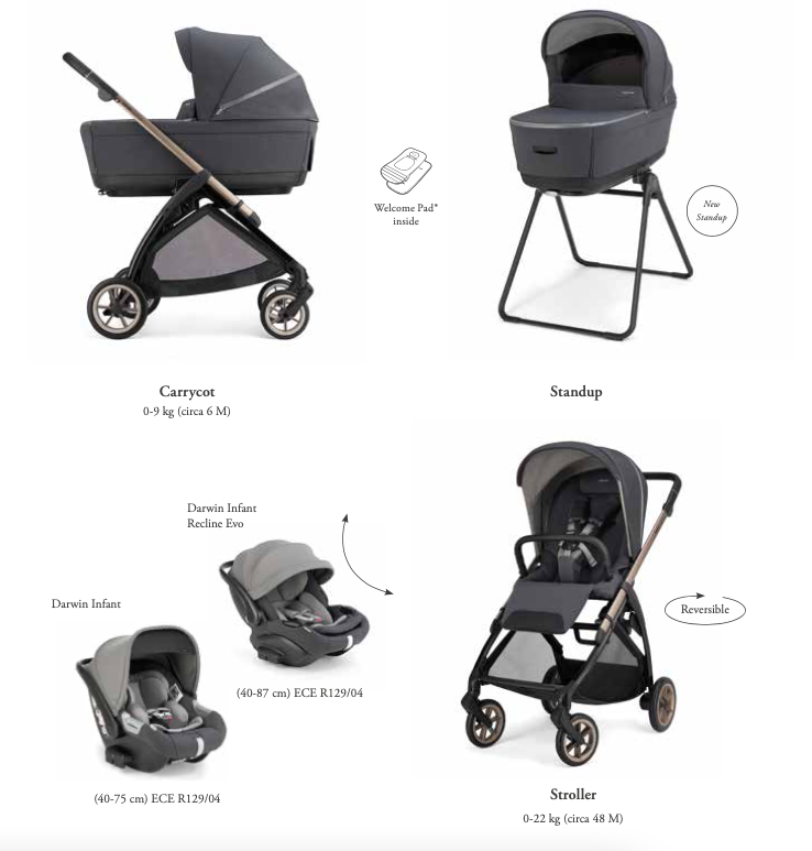 copy of Kombikinderwagen Inglesina Electa Darwin Infant Recline - Union Grey