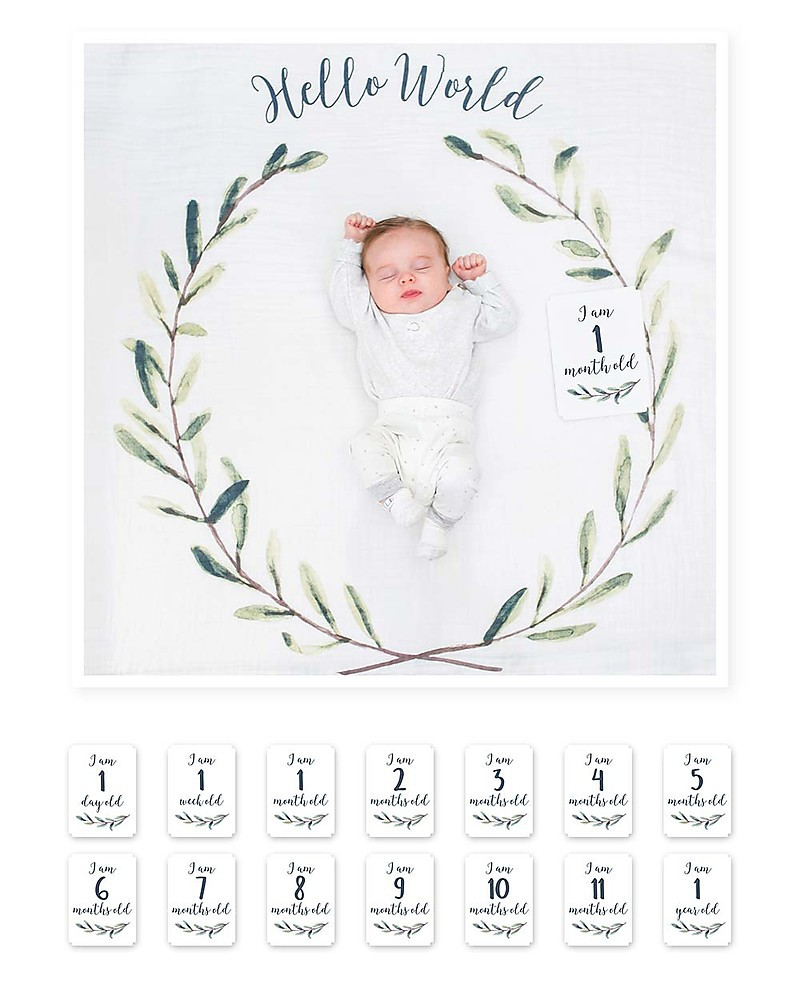 Cubierta Primer Año - Hello World